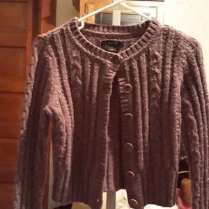 Express Crop sweater